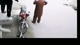 Foolish Donkey Car funny