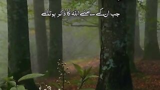 تلاوت قرآن پاک