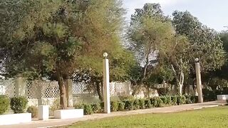 beautiful Garden
