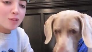maybe maybe maybe  Sauce https://www.reddit.com/r/TikTokCringe/s/FLKcp0PR56