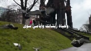 ياطير