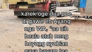 ayam broiler || kata kata lucu 316
