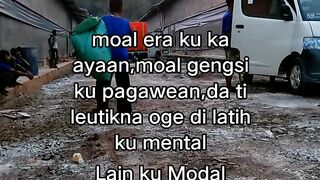 ayam broiler || kata kata lucu 319