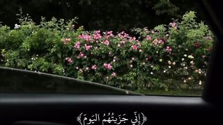 Phool hi phool
