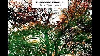 Ludovico Einaudi - Run(360P).