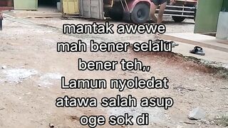 ayam broiler || kata kata lucu 320