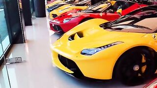 Show Room