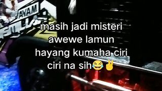 ayam broiler || kata kata lucu 321