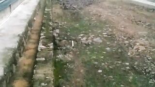 ayam broiler || kata kata lucu 324