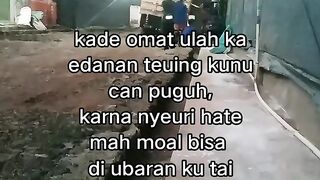 ayam broiler || kata kata lucu 325
