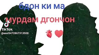 Султон