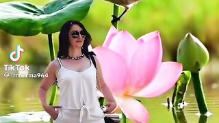 the birds