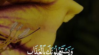 Quran Al Kareem 22