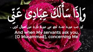 Quran Al Kareem 24