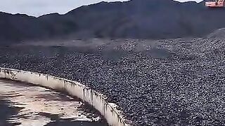 Indonesian Coal