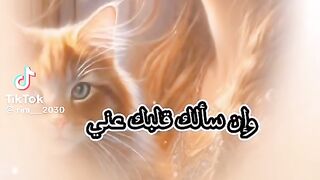وإن سألك قلبك عني فإني قريب