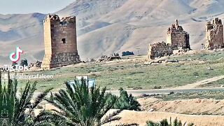Palmyra 12