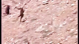 Singes et jeu