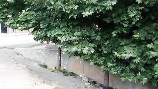 Video aujourd'hui 1 / follow me