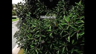 Motivation songs 2