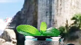 الجميل