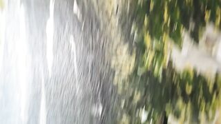 Le monde vert