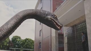 蛇逐步靠近保安，等保安察觉到已经晚了！【巨蛇闯女校 Rising Boas in a Girl's School】_驚悚 災難 _【電影派對】.mp