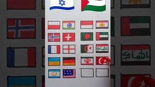 Israel ???????? supporters VS Palestine ???????? supporters