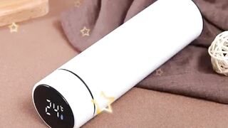 Temperature Smart Vacuum Insulated Thermos Water Bottle