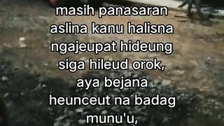 ayam broiler || kata kata lucu 329