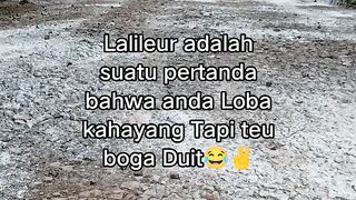 ayam broiler || kata kata lucu 331
