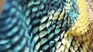 Wildlife????#febspot #Trending️