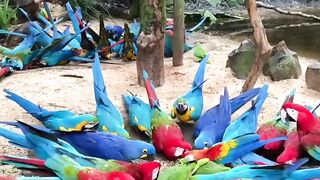 Birds eating time????#febspot #Trending️