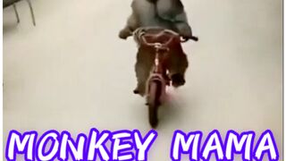 FUNNY MONEY MOMENT