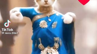 Dancing cat 3
