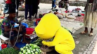 Teady going to market