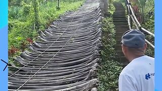 Kereta bantalan pelepah kelapa #keretaapi