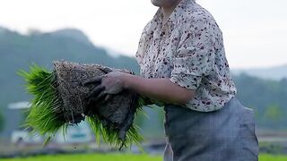 GO TO PLANTING RICE