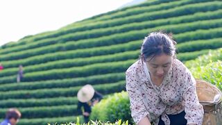 GREEN TEA