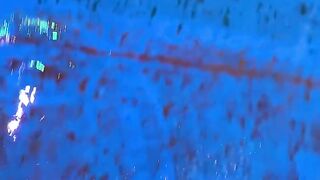 Barrier-free communication. Beluga whale eats fish. Little fish in Hutan.