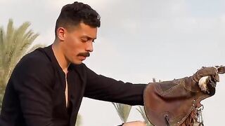 شمس_نبوي_مصر ????????????????
