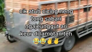 ayam broiler || kata kata lucu 335