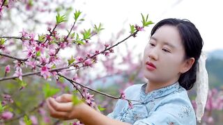 WINE PEACH FLOWERS