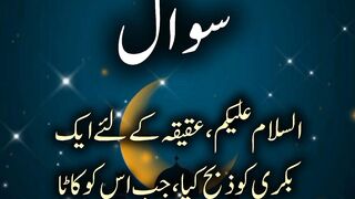 Animal sacrifice|| Qurbani rules #viral #IslamicQA || Kashaf butt