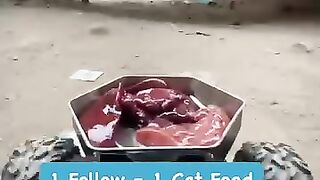 1 Follow 1 Cat Food | Cat Food | Vloge | Help Post