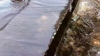 Swimming in tube well