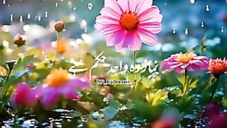 Razzaq5-Beautiful video -Heart touching verses-Subhan Allah????_Islamic what's app stetus__144p.