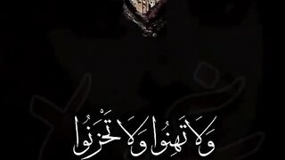 الشيخ محمد صديق المنشاوي 2