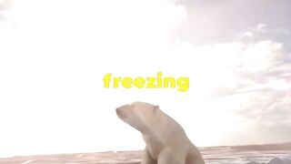 Chill with the Giants: Polar Bear Facts!