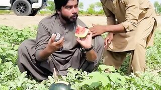 Tarbooz Ko Rang Laga Kr Larko Ne Ki Herapheri